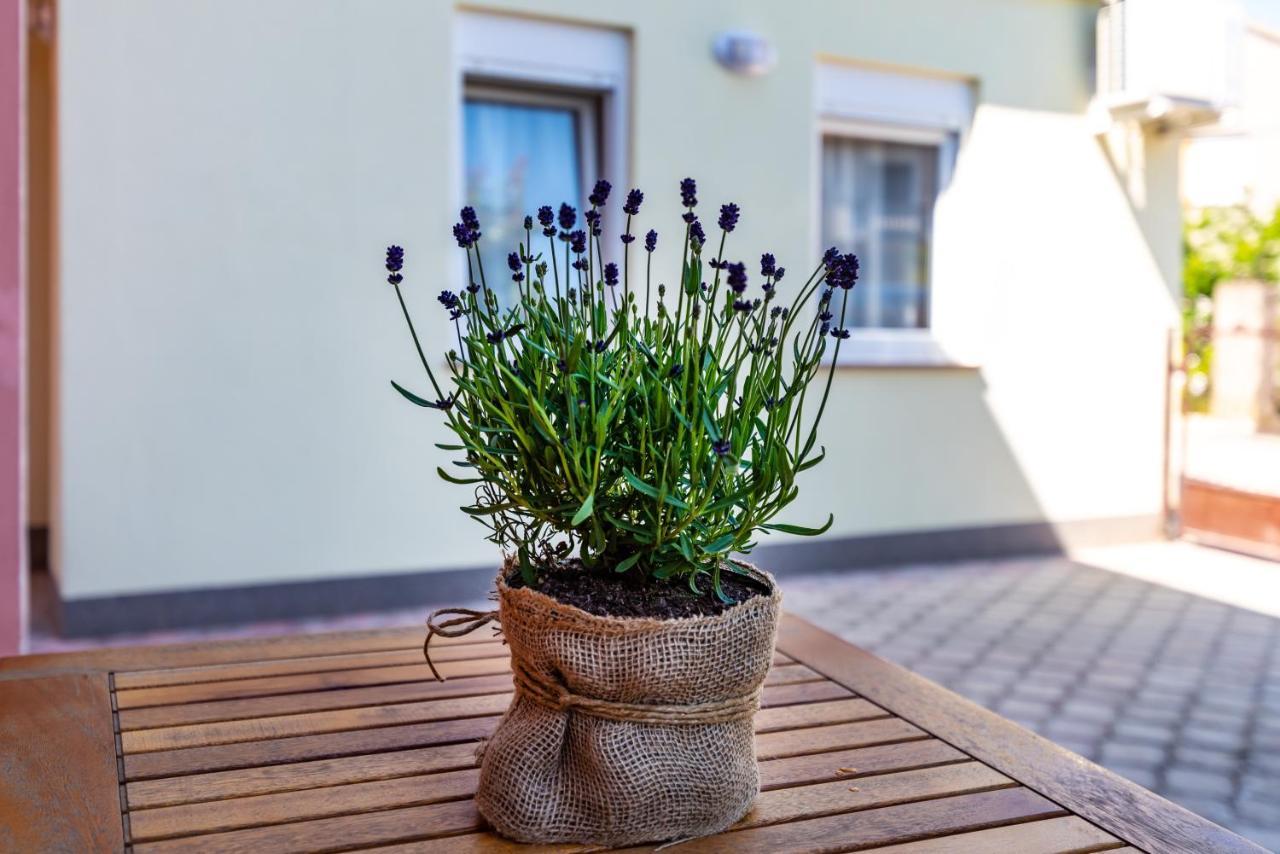 זאדאר Studio Apartment Gina מראה חיצוני תמונה